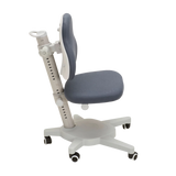 Study Chair