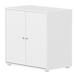 SAGA Cupboard, 2 doors, White with grooves
