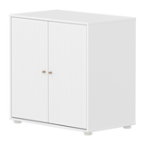 SAGA Cupboard, 2 doors, White with grooves