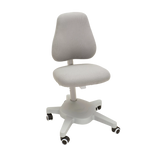 Study Chair