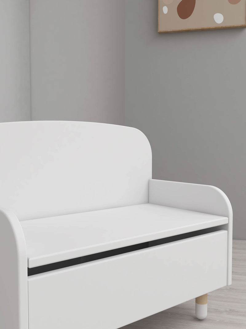 Storage bench with back rest